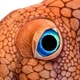 Maskotka Mikamax Giant Octopus 150 cm (8721154050377) - obraz 2