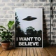 Интерьерная картина Секретные материалы, X-Files, I want to believe, НЛО, UFO, сериал, 85×60 см (id0051) - изображение 1