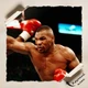 Постер Майк Тайсон и Эвандер Холифилд, Mike Tyson, бой, ринг, бокс, A3 29×42 см (id4734) - изображение 4