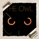 Постер Добыча, Prey (2006), The Owl, ретро-футуризм, плакат для геймера, A3 42×28 см (id4742) - изображение 4