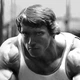 Інтер'єрна картина Арнольд Шварценеггер, Arnold Schwarzenegger, бодібілдер, 42×28 см (id0448) - зображення 3