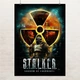 Постер Сталкер, Тень Чернобыля, Stalker (2007), плакат для геймера, A3 42×30 см (id0269) - изображение 1
