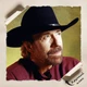 Постер Чак Норрис в широкополой шляпе, Chuck Norris, Уокер, техасский рейнджер, A3 42×30 см (id1213) - изображение 4