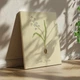 Интерьерная картина Ботаническая иллюстрация, Scilla Bifolia, растения, интерьерный постер, 40×30 см (id7155) - изображение 2