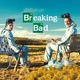 Інтер'єрна картина Пуститися берега, Breaking Bad, 43×60 см (id1748) - зображення 4