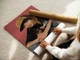 Постер Том Каулитц, Tokio Hotel, Tom Kaulitz, эмо, A3 28×42 см (id6812) - изображение 3