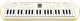 Синтезатор Casio SA-80 - зображення 1