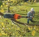 Аккумуляторный высоторез с штангой BLACK+DECKER GPC1820L20 18 В длина шины 20 см вес 4.85 кг (GPC1820L20) - изображение 6
