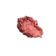 Румяна для лица Zola Velvet Blush Glow 01 Dream Coral - изображение 3