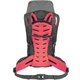 Рюкзак Salewa Alptrek 38 BP WS Сірий - изображение 2