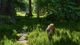 Ключ активації Planet Zoo 2: Deluxe Edition для Xbox Series S/X - зображення 3