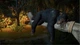 Ключ активації Planet Zoo 2: Deluxe Edition для Xbox Series S/X - зображення 6
