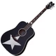 Акустическая гитара Schecter RS-1000 Stage Acoustic - изображение 2