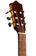 Электроакустическая гитара Stagg N SCL60 TCE-NAT - изображение 6