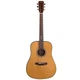 Акустическая гитара Prima DSAG219 Acoustic Guitar - изображение 2