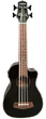 Укулеле Fzone FZUB-10SBK Bass Ukulele - изображение 1