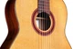 Классическая гитара Cordoba C7 CD - изображение 5