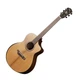 Акустическая гитара Gopher Wood i265 RC - изображение 4