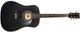 Акустическая гитара MAXTONE WGC4010 (Black) - изображение 1