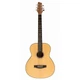 Акустическая гитара Stagg G SA25 A SPRUCE - изображение 1