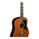 Электроакустическая гитара Eko Guitars RANGERVR12-EQ-NAT Ranger XII VR EQ (Natural Top Stained) - изображение 4