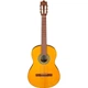Классическая гитара Ibanez GA3 OAM - изображение 1