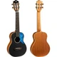 Укулеле Flight IRIS CONCERT BK - изображение 2