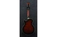 Электрогитара Ibanez AG95QA-DBS - изображение 2