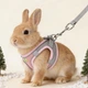 Шлей для з поводком для кроликів "IGGY" Рожевий Size S - зображення 3