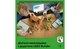 Конструктор Lego Minecraft Нападение вызывателя на деревню, 607 деталей 21596 - изображение 8