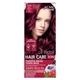 Відтінковий бальзам Acme Color Hair Care Ton Oil Mask 034 - Дика вишня (4820197009411) - зображення 1