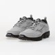 Кроссовки Mizuno Wave Daichi Ls Metallic/Grey D1GA260102 40.5 - изображение 6