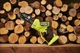 Пила цепная аккумуляторная Ryobi one+ hp ry18psx15a-120t 18b 1х2А·ч зу шина 15см бесщеточная 6м/с 1.19кг кейс 5133005899 - изображение 6