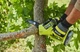 Пила цепная аккумуляторная Ryobi one+ hp ry18psx15a-120t 18b 1х2А·ч зу шина 15см бесщеточная 6м/с 1.19кг кейс 5133005899 - изображение 7