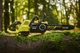 Пила цепная Ryobi ry36csx35a-0 аккумуляторная, max power 36в, Oregon 35см, бесщеточная (без акб и зу) 5133004595 - изображение 2