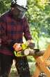 Пила цепная аккумуляторная Ryobi ry18cs20a-0, шина 20 см, 18в one+ , Solo (без акб и зу) 5133005414 - изображение 8