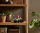 Конструктор Суккуленты - изображение 4