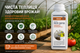 Концентрированное комплексное средство для дезинфекции теплиц, 1л. BioGreen - изображение 2