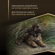 Cухий корм для цуценят Pro Plan Puppy Large Robust Sensitive Skin 12 кг - лосось - зображення 6
