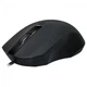 Мышь Defender MM-310, Black, USB, оптическая, 1000 dpi, 3 кнопки, 1.35 м (52310) - изображение 1