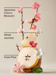 Жидкое мыло-пена для рук Bath & Body Works (667659338757) Japanese Cherry Blossom Gentle & Clean Foaming Hand Soap 259 мл - изображение 3