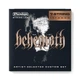 Струны для гитары Dunlop BEHEMOTH ARTIST-SELECTED CUSTOM GUITAR STRINGS 11-62 | 7-STRING - изображение 1