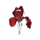 Брошь BROCHE Цветок Ирис красный BRBF115531 - изображение 1
