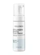 Очистительная пенка для умывания Collagen Foaming Facial Cleanser (2113-01) 150 мл Hollyskin - изображение 1