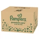 Підгузки Pampers Premium Care Розмір 5 (11-16 кг) 132 шт (8006530223478) - зображення 2