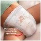Подгузники Pampers Active Baby Pants Розмір 7 (15+ кг) 108 шт (8006530305747) - изображение 5