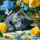 Картина за номерами Кошеня блакитнооке art_selena_ua 40х40 Ідейка (KHO6795) - изображение 1