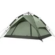 Палатка Naturehike NH21ZP008 3 Green - изображение 1