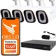 Комплект IP-камер ORLLO TZ4-PRO Wi-Fi 6 Mp, 4 шт. (4XTZ4-PRO) - зображення 1