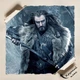 Постер Властелин колец, Гном Торин Дубощит, Lord Of The Rings, фэнтези, A3 42×30 см (id0006) - изображение 4